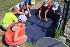 PHOTO-2026-07-29-15-53-03