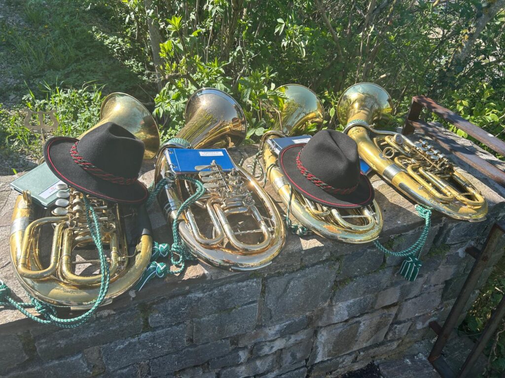 tenorhorn